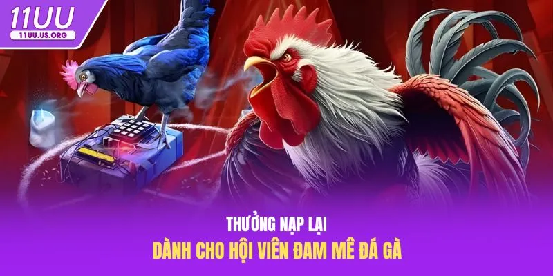 Thưởng nạp lại dành cho hội viên đam mê đá gà